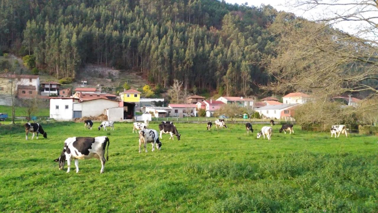 Hotel Casa Vieja Del Sastre Soto de Luiña Dış mekan fotoğraf